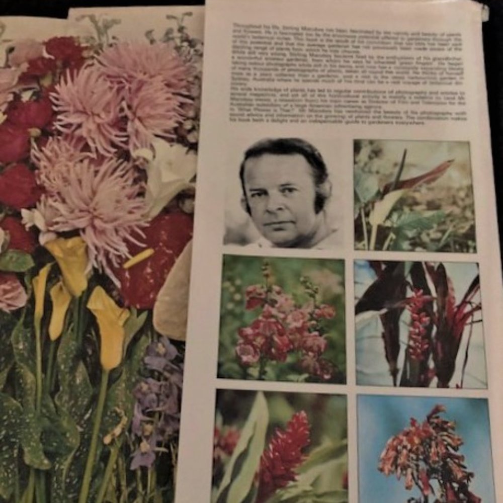 1971 What Flower is That? by Stirling Macoboy - Picture 8 of 8